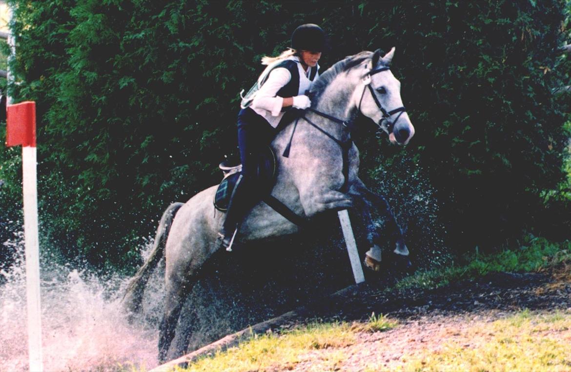 Anden særlig race Lurifax - Hvis du havde fundet mig, ville du være standset.
 Du fortsatte kun fordi jeg ikke var der.
 Du har set alt hvad der er at se og lært alt hvad der er at lære.
 Du har gjort det godt, min trofaste ven.
 Nogle ting er det bedst man oplever alene, jeg er hos billede 1