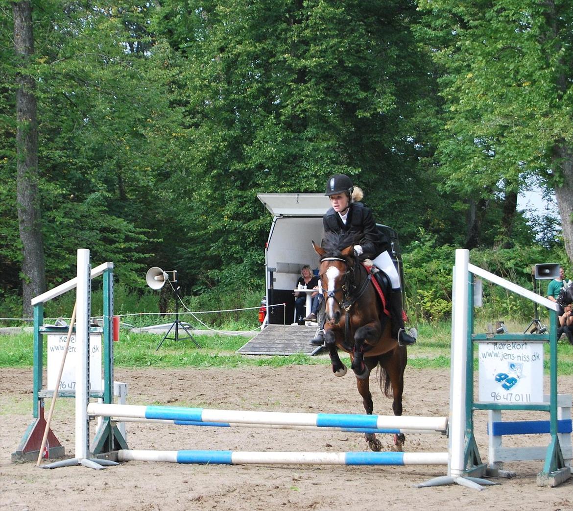 DSP Fejrupgaards Cookienelle - Stævne DRLR 4. sept. - første springstævne<3. billede 5