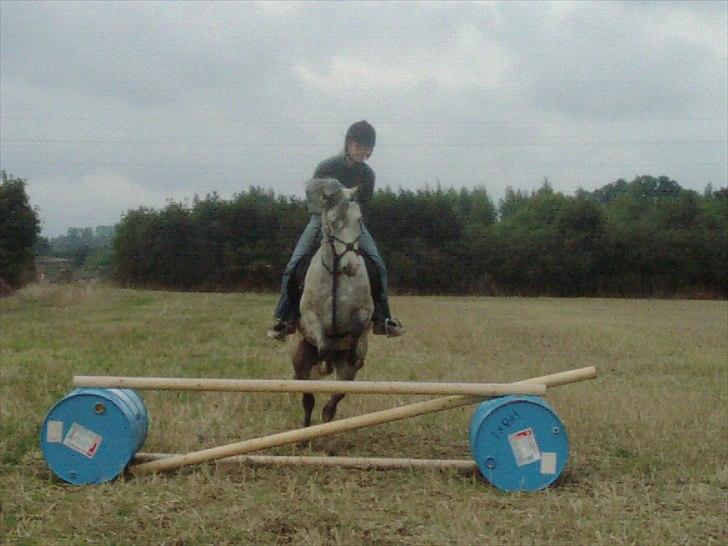 Anden særlig race Lurifax billede 14