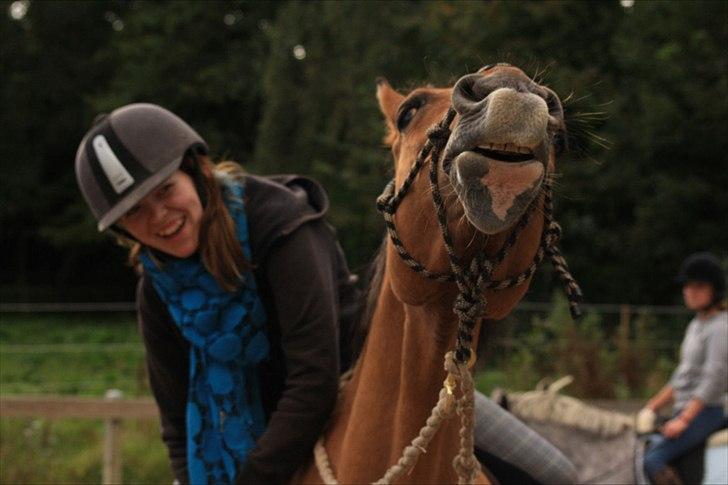 Anden særlig race Luna - Uhhh, godt kløpunkt :D billede 4