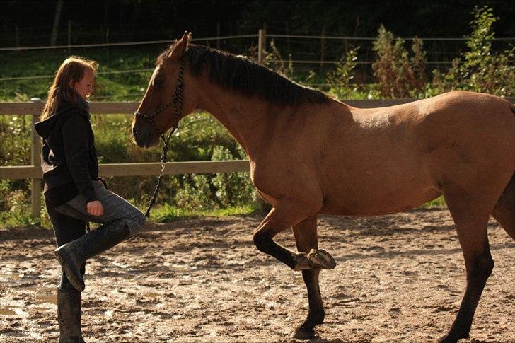 Anden særlig race Luna - Løfte ben :)  billede 18