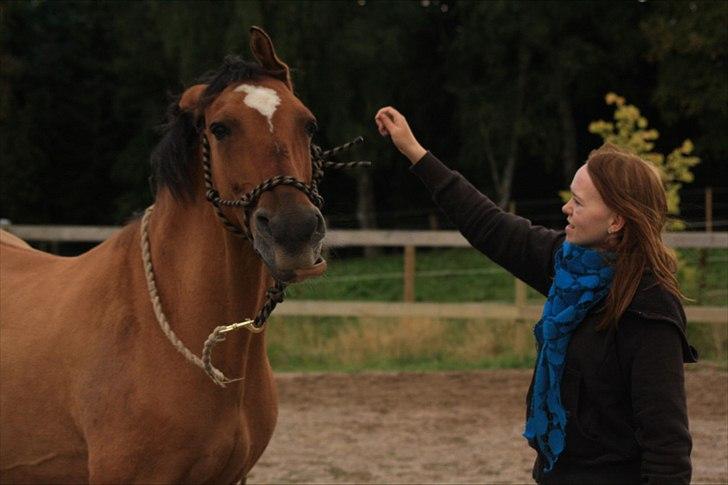 Anden særlig race Luna - Ryste :) billede 10