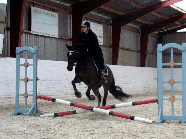 Anden særlig race Chili in action *Miss you boy* - 3 - Chili & mig hyggespring <3  Foto : Christina H. billede 3