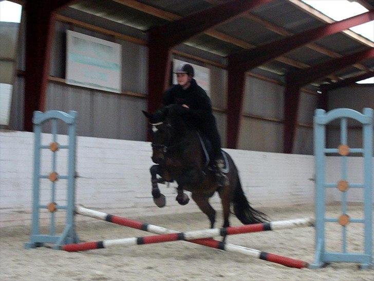Anden særlig race Chili in action *Miss you boy* - 4 - Chili og mig hyggespring :p NYT Foto : Christina H. billede 4