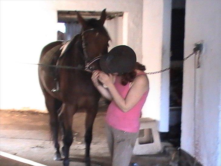 Traver Princess Guy - jeg elsker dig<3 billede 3