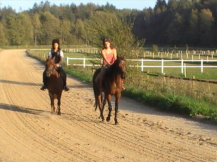 Traver Princess Guy - sammen med Ronja og Figther:) billede 10