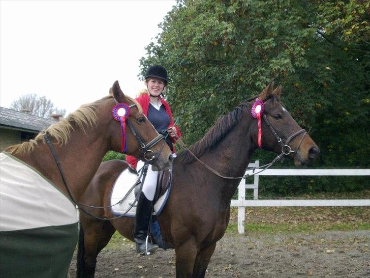 Dansk Varmblod Højgaards Rosinante - Rose, Myl og Mithano efter vores sløjfespring den 9. okt. 2011 billede 14