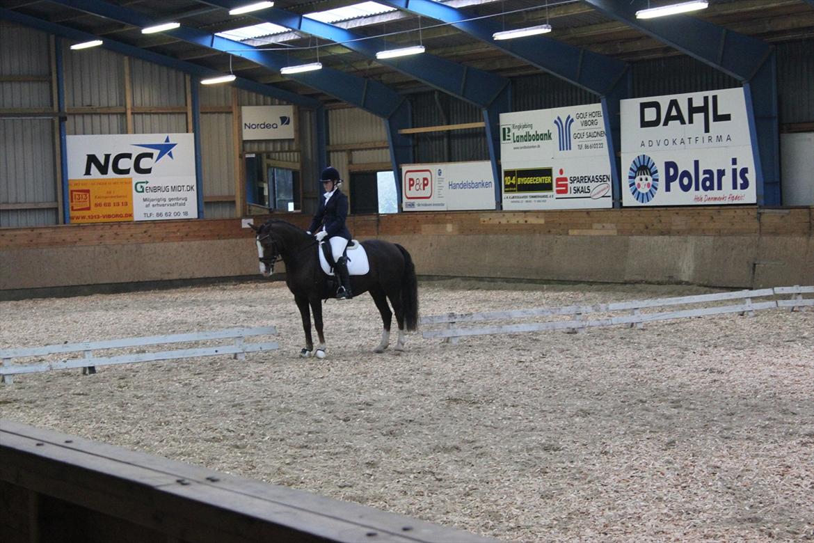 DSP simba<3 (bassemand) billede 16