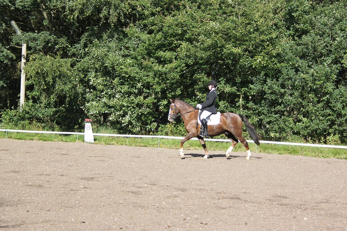 DSP simba<3 (bassemand) billede 17