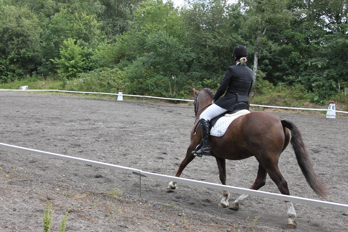 DSP simba<3 (bassemand) billede 18