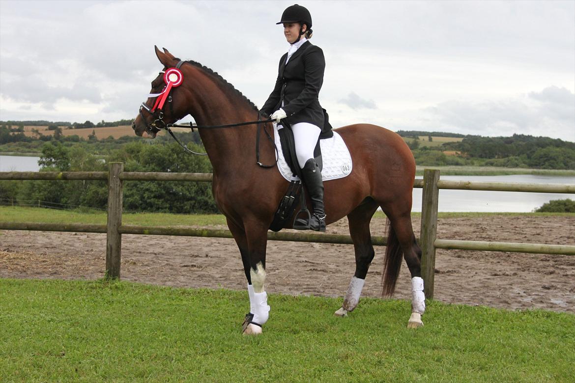 Dansk Varmblod Fifi<33 billede 18