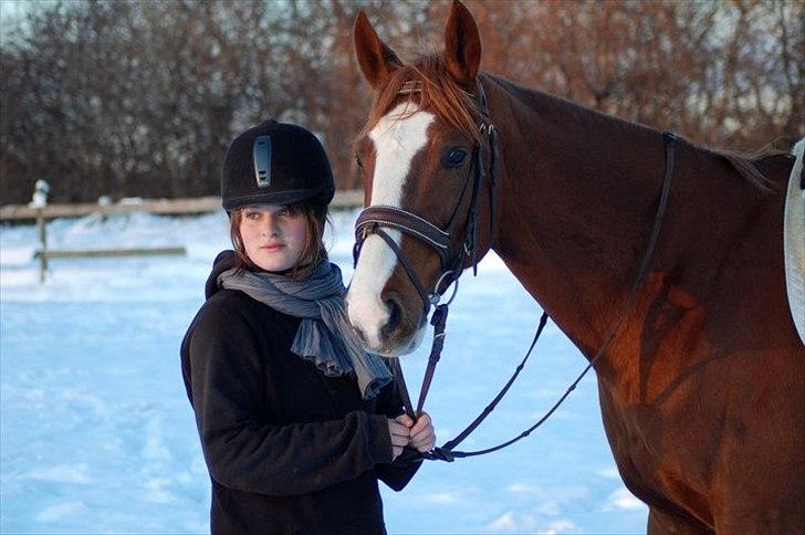 Polsk Varmblod Emma billede 20