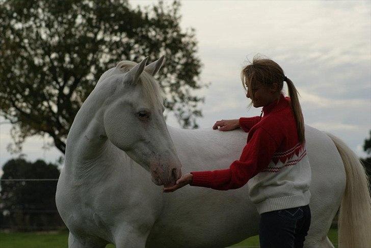 Connemara Mosedals Snowflake - Min skønne Bøh. Taget af Line Andersen. billede 17