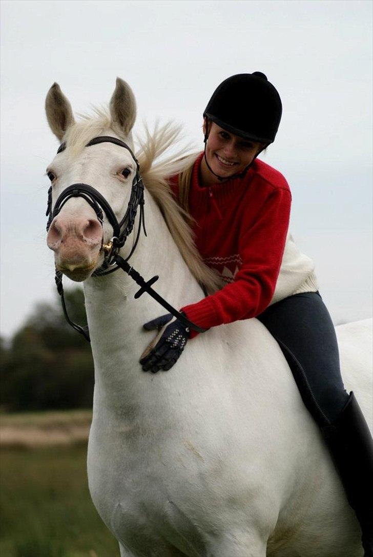 Connemara Mosedals Snowflake - Smukke Bøh. Taget af Line Andersen. billede 19