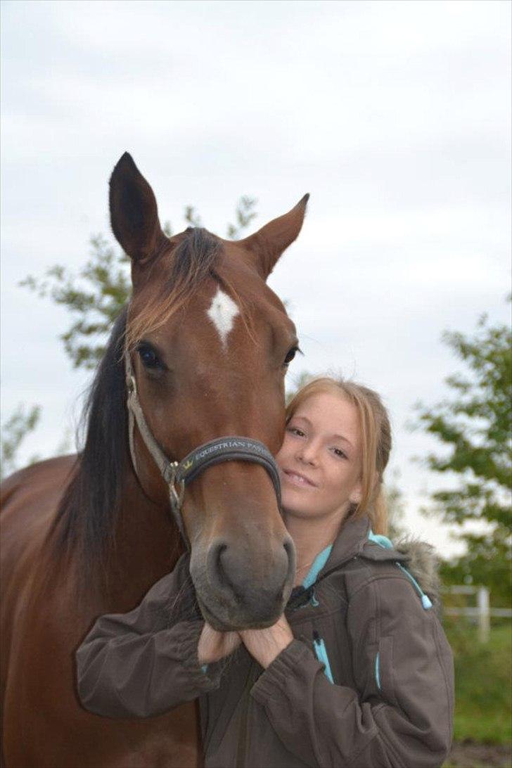 Traver Robin Faust - Robsen og mig Foto: maiken 
 billede 11