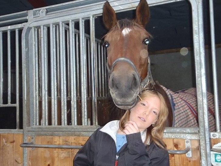 Traver Robin Faust - Robsen og gg :P gangsteren mig Foto: maiken billede 17