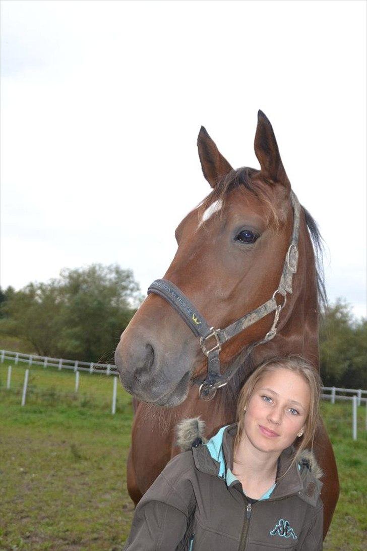 Traver Robin Faust - Du er en drøm at være sammen med du gør ikke en flue fortrød <3 foto Mig billede 14
