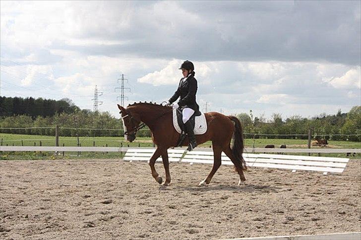 DSP Majblis billede 9