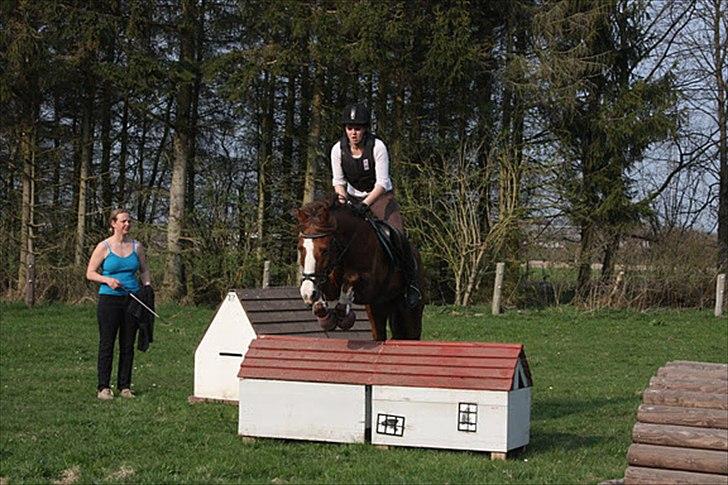 DSP Majblis billede 2