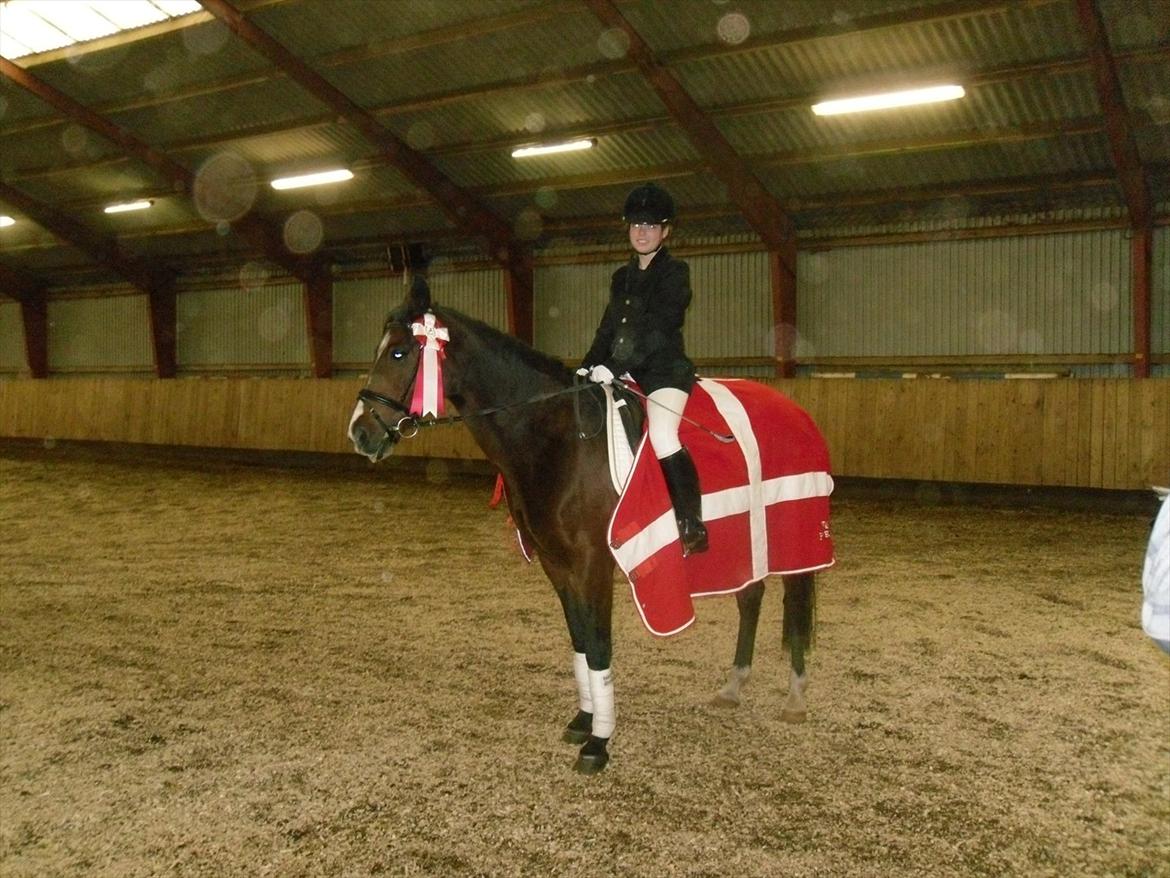 Hollandsk Sportspony Beauty - Første stævne d. 9. oktober KLUBMESTER!! :-) billede 13