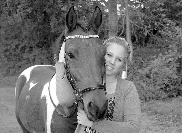 Hollandsk Sportspony Elmelunds Dalton - Billede taget af Hanne Fredenborg: Jeg elsker dig Dalton ;) billede 5