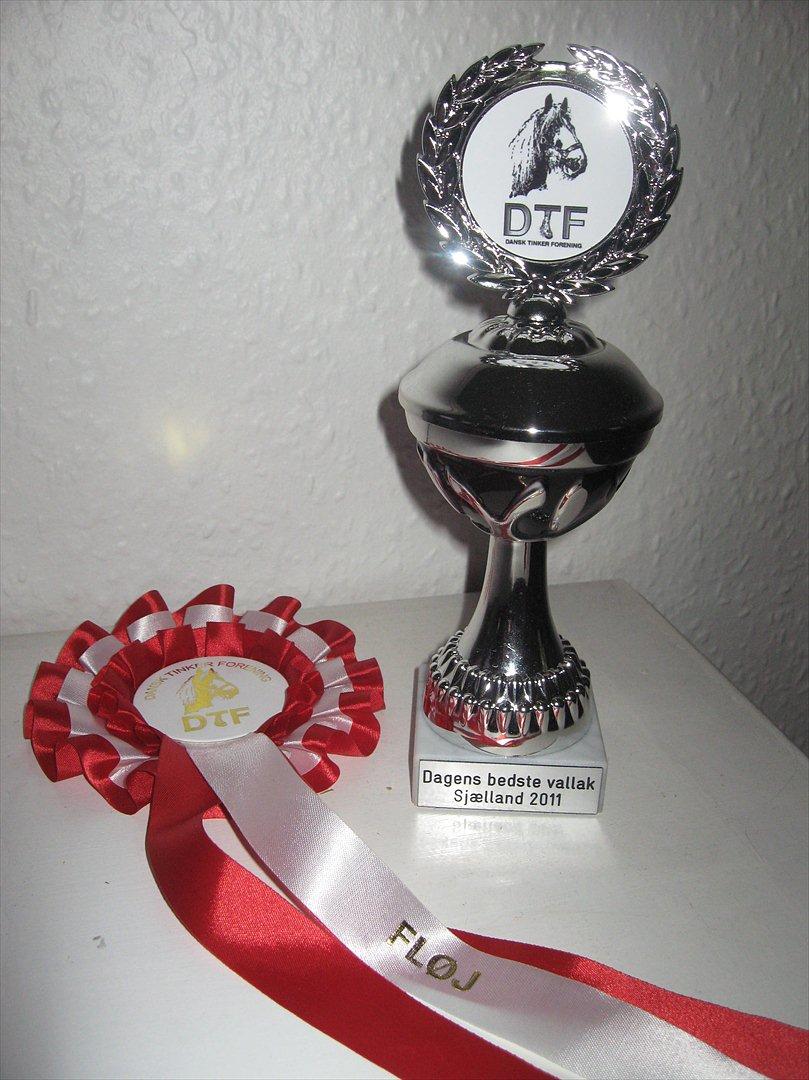 Tinker Sir Aragorn billede 18