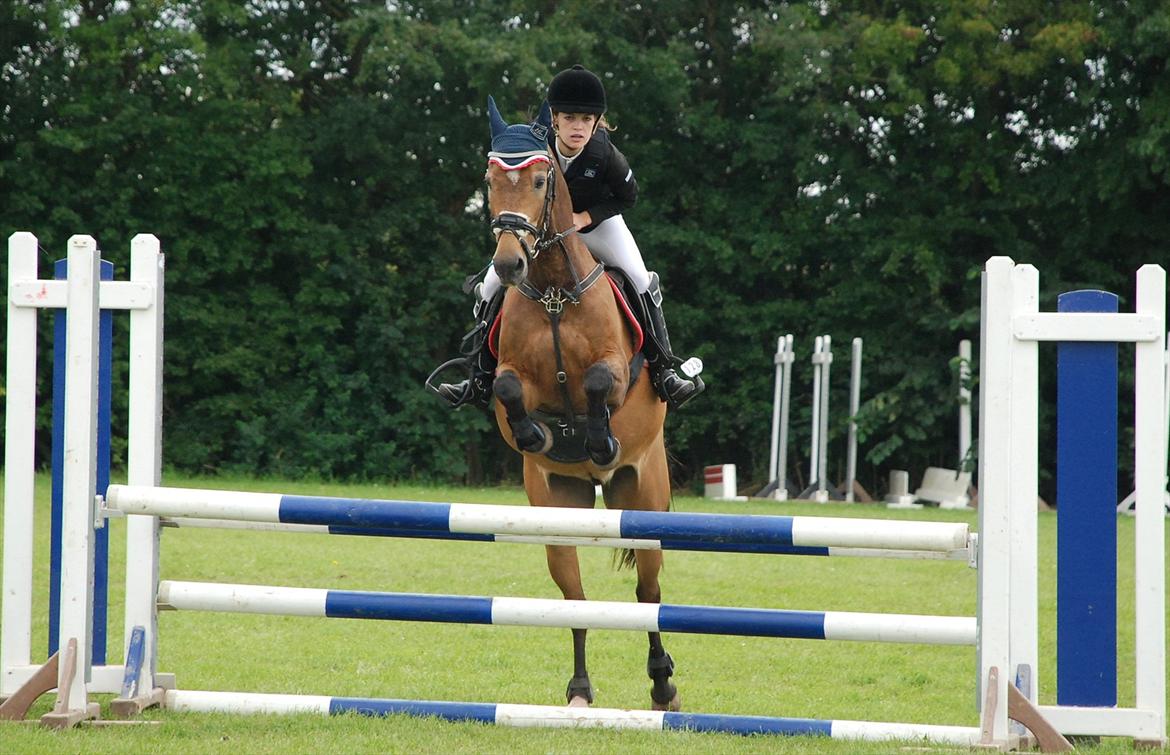 Anden særlig race Moonlight! (solgt) :-( - 3) Lb** SLR c-stævne.. Dejlige dreng der bare flyver ('; <3 Foto: Silche Kreiner  billede 3