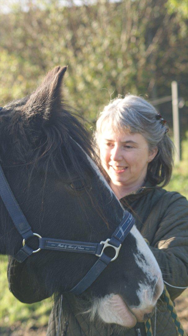 Tinker Kragelunds Darcy billede 13