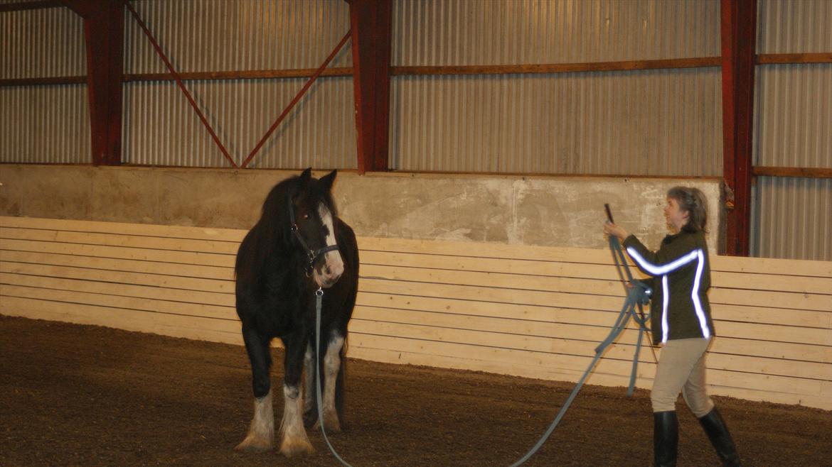 Tinker Kragelunds Darcy - Darcy er så dygtig til at stoppe på kommando billede 18
