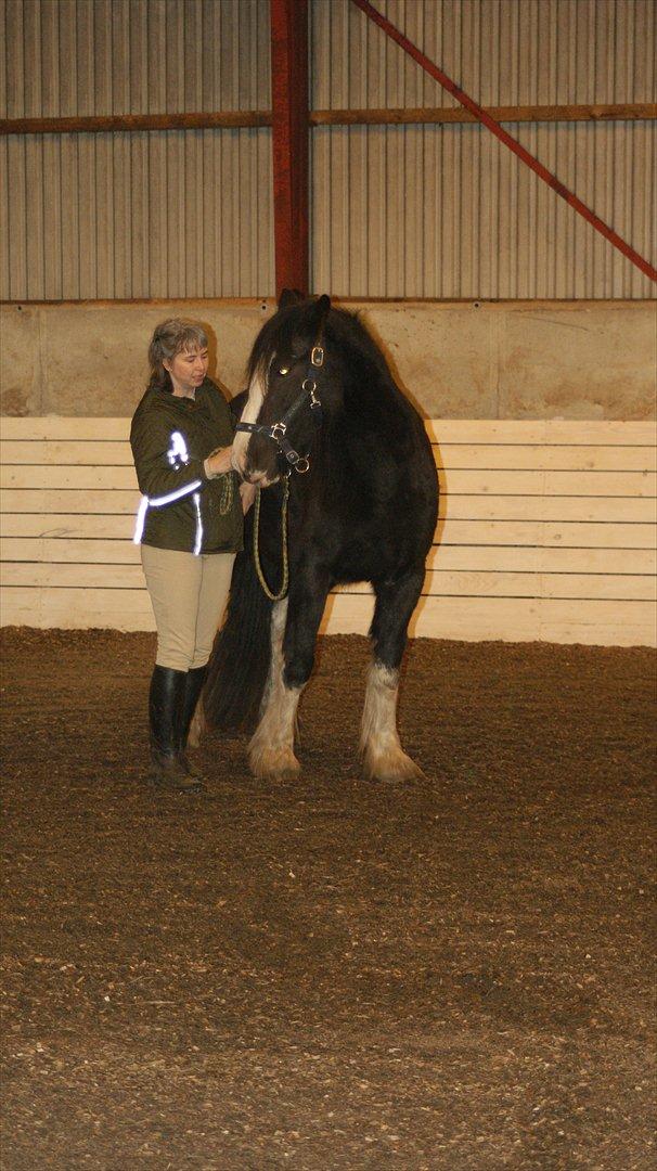 Tinker Kragelunds Darcy - Hvad skal vi nu Lone? billede 19