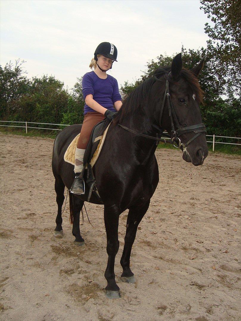 Oldenborg Capriati billede 8