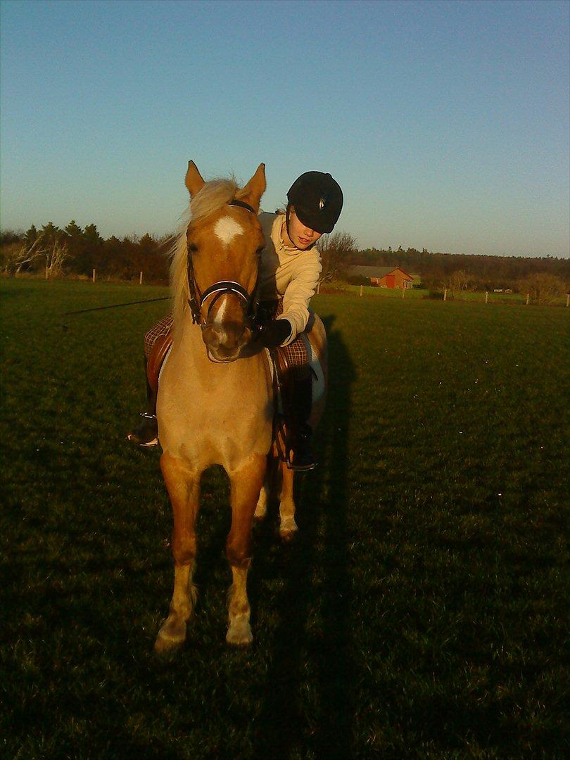 Anden særlig race Comet.<3 - Efterhånden lang tid siden. billede 14