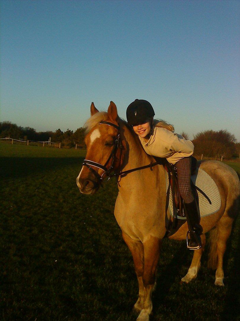 Anden særlig race Comet.<3 - Også lang tid siden, og der er faktisk sket ret meget siden den tid.  billede 15