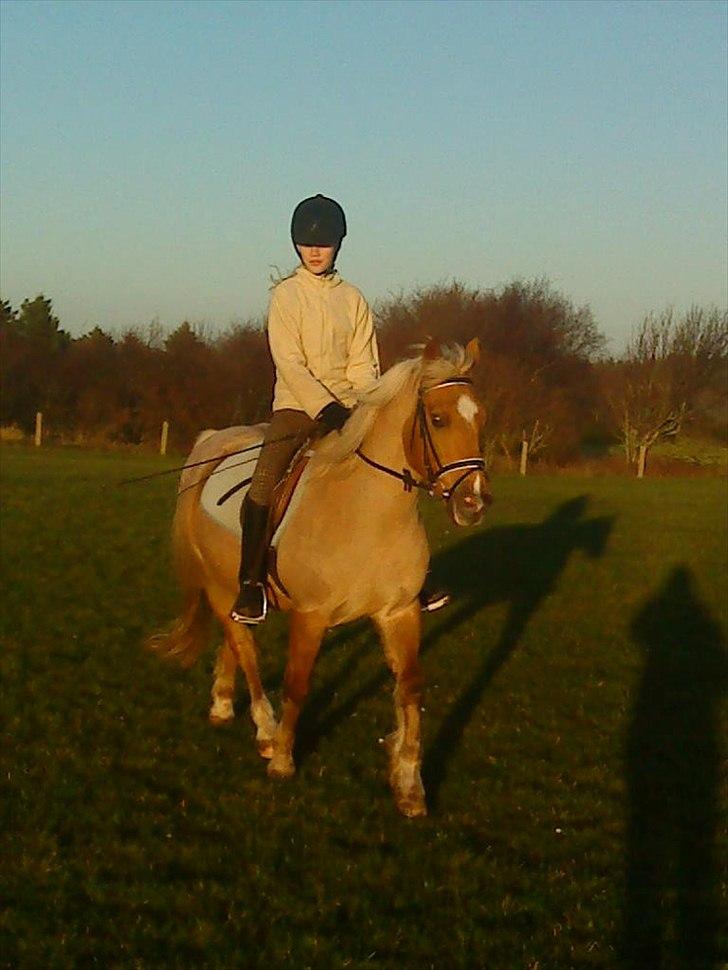 Anden særlig race Comet.<3 - Hyggelige tider ..(: billede 16