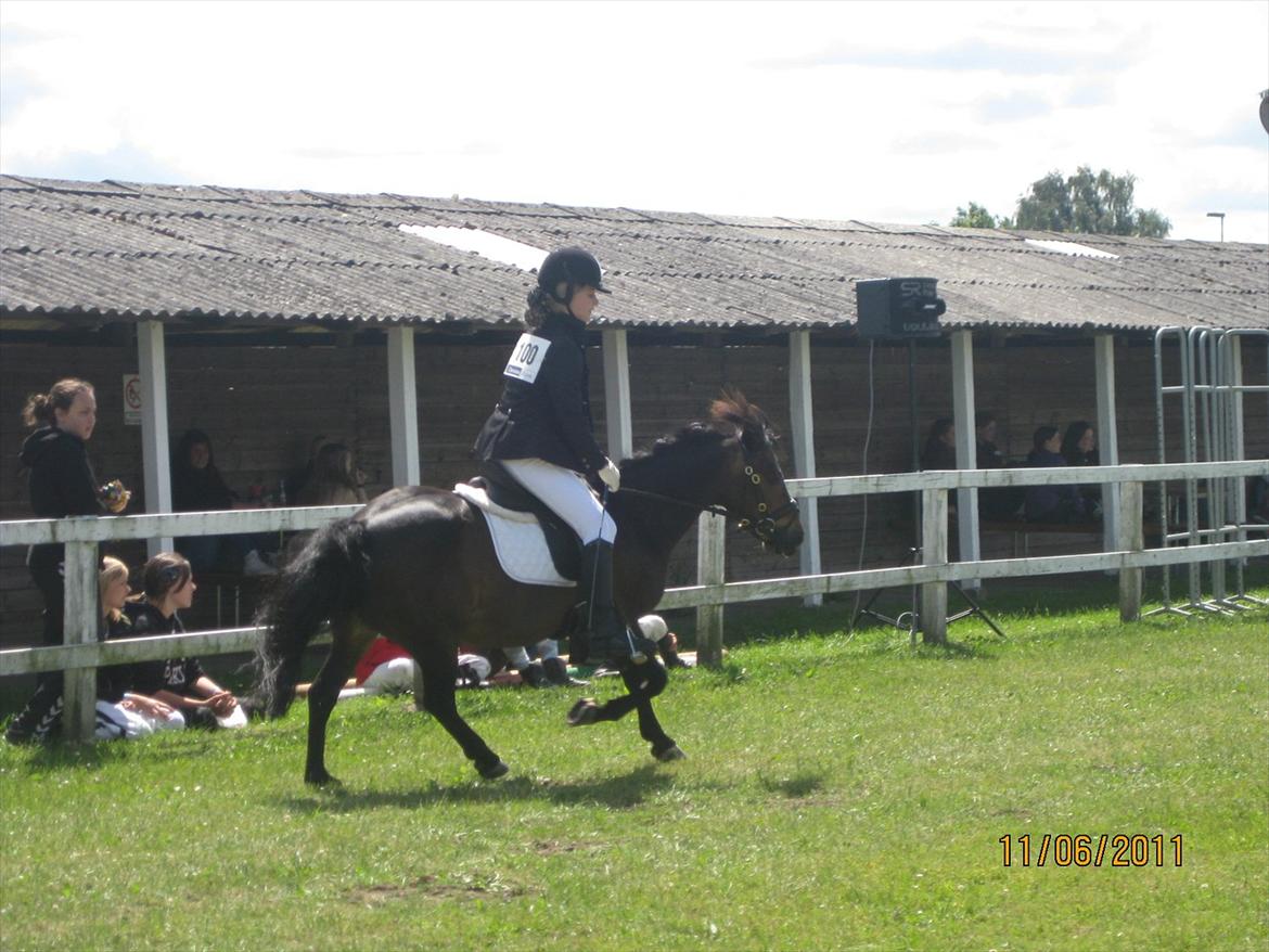 Anden særlig race Haugaards Frederik billede 14
