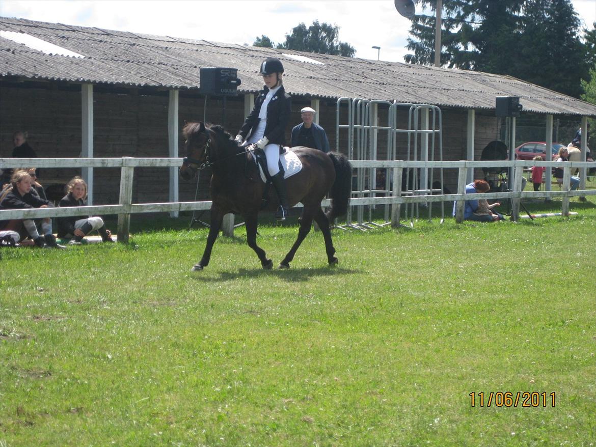 Anden særlig race Haugaards Frederik billede 15