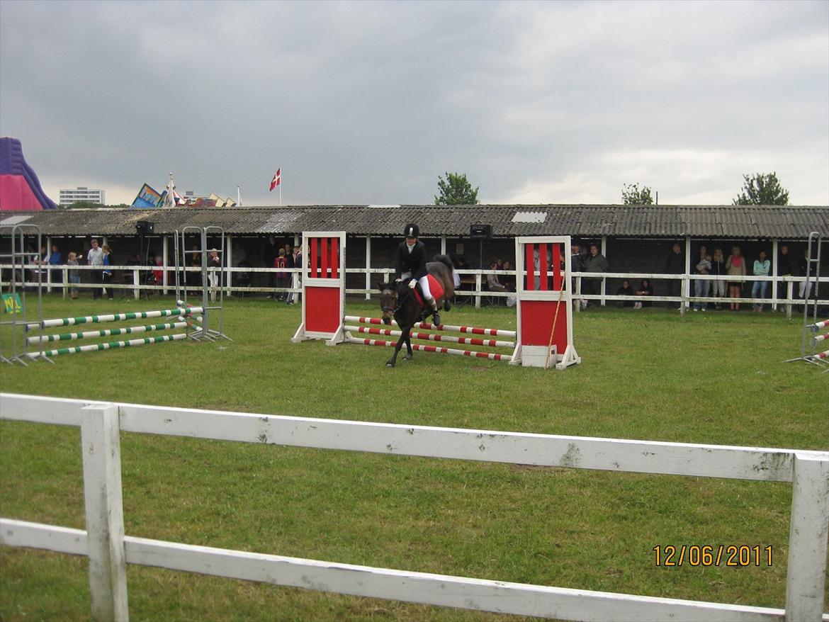 Anden særlig race Haugaards Frederik billede 16