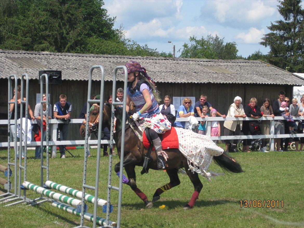 Anden særlig race Haugaards Frederik billede 17