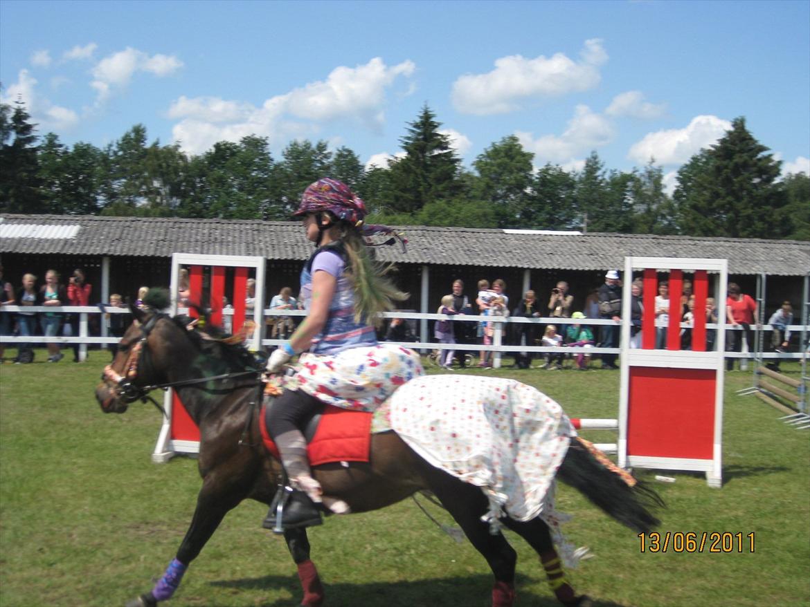 Anden særlig race Haugaards Frederik billede 18