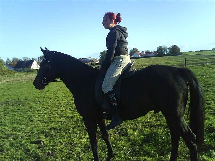 Traver Stelmach´s Callisto<3 - første gang jeg sidder på ham! ved godt jeg ik har hjelm på, gider ingen sure kommentar om det.. røg ik af! billede 9