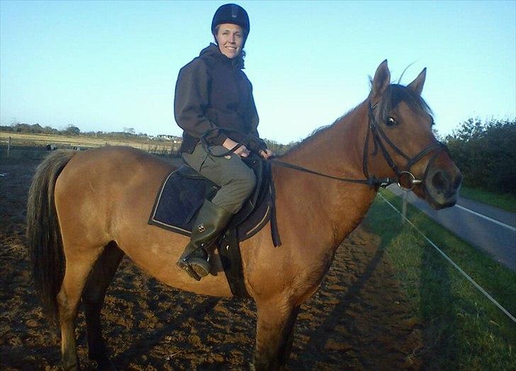 Anden særlig race  Kandis  - Min Kontakt person som rider kandis 
 billede 6