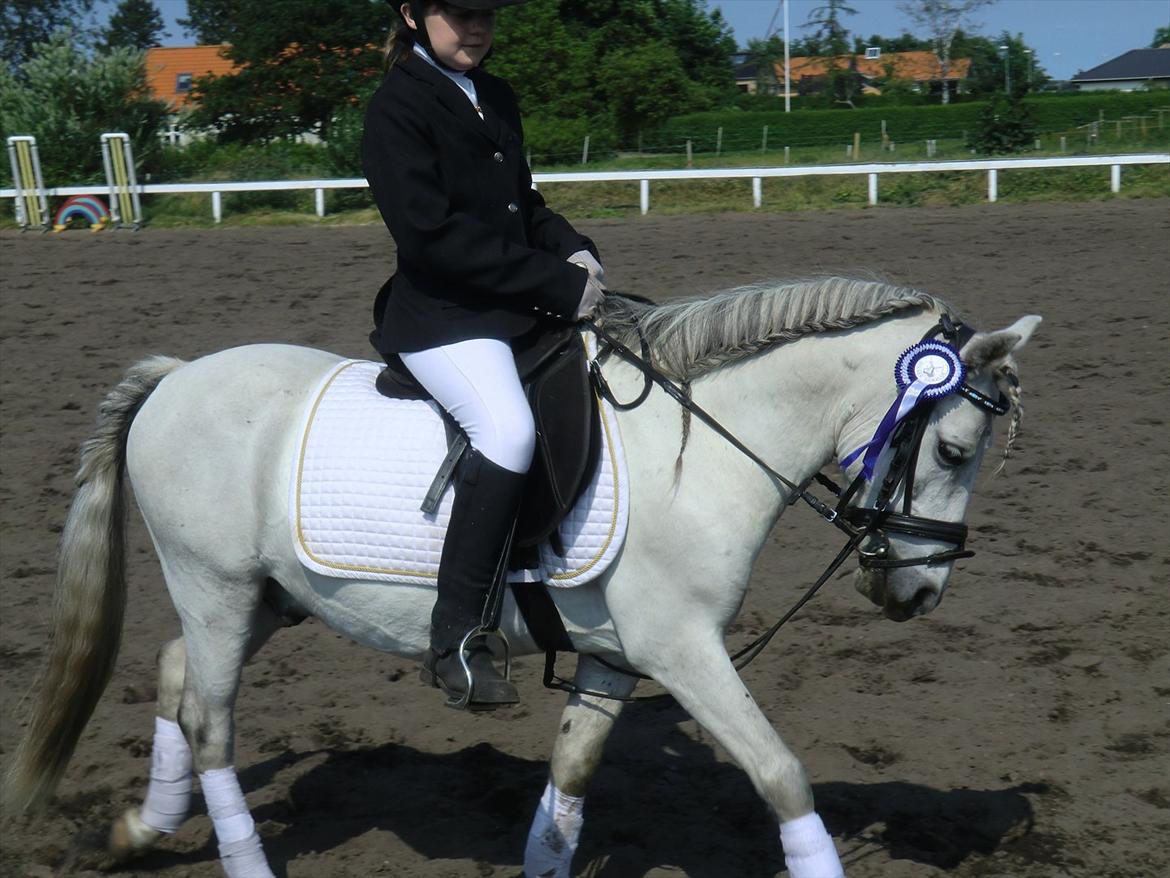 Anden særlig race Valentino ( Valle ) - Før jeg mødte dig, vidste jeg ikke at jeg havde brug for dig
Men nu kan jeg ikke forestille mig et liv uden dig. ♥
 billede 6