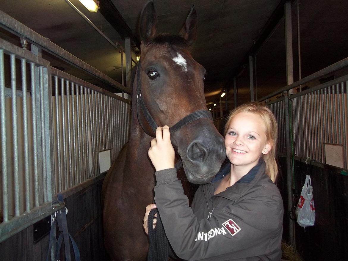 Dansk Varmblod Egges Vendetta - Min smukke hest :* billede 6