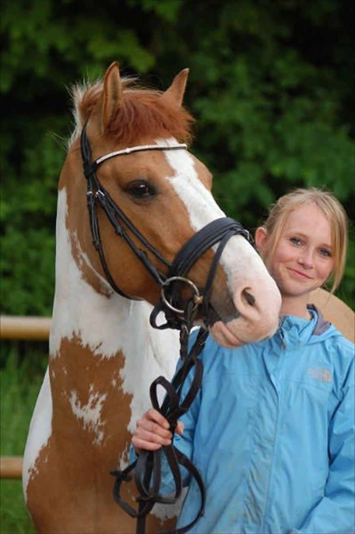 Hollandsk Sportspony Pablo P. (Nuttie)  - 20) you are my dreams evry night<3 billede 12