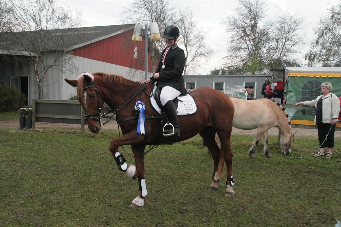 Anden særlig race Irish Girl ~ Grisen - Nr 2 til Områdemesterskabet i NRC billede 18