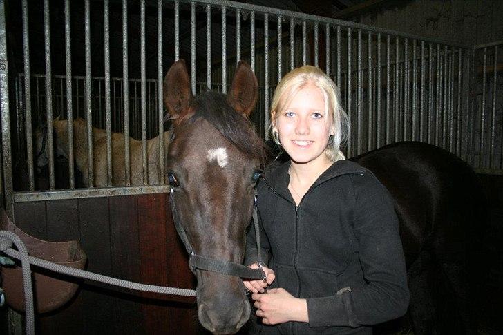Svensk Sportspony  Venus (Pepsie) - Min dejlige lille tøsen! :-* billede 19