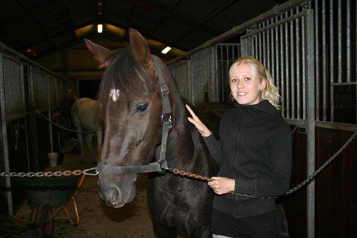 Svensk Sportspony  Venus (Pepsie) billede 11