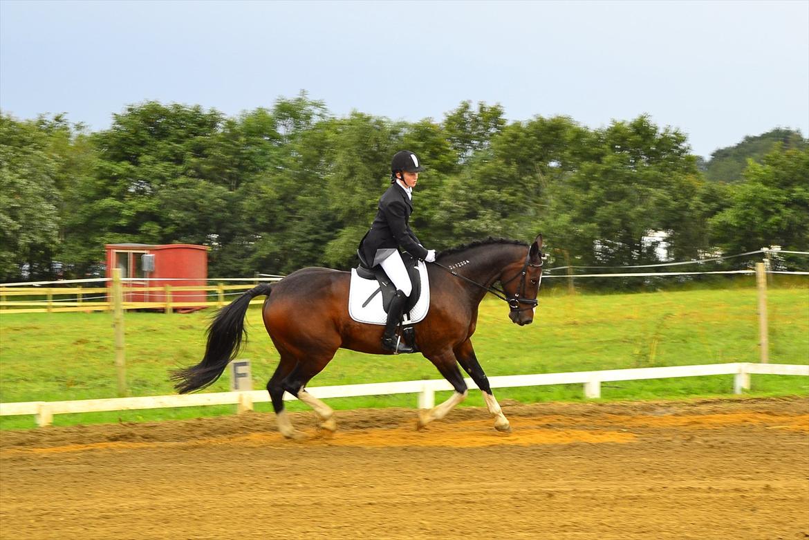 Traver Grand Cru - Vores første rigtige stævne
LC1 og LC3

foto:Mathilde Danmark billede 4