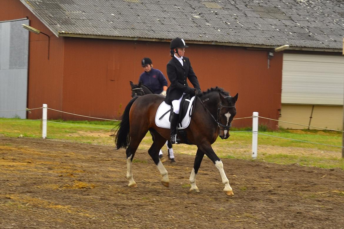 Traver Grand Cru - Vores første rigtige stævne
LC1 og LC3

foto:Mathilde Danmark billede 6