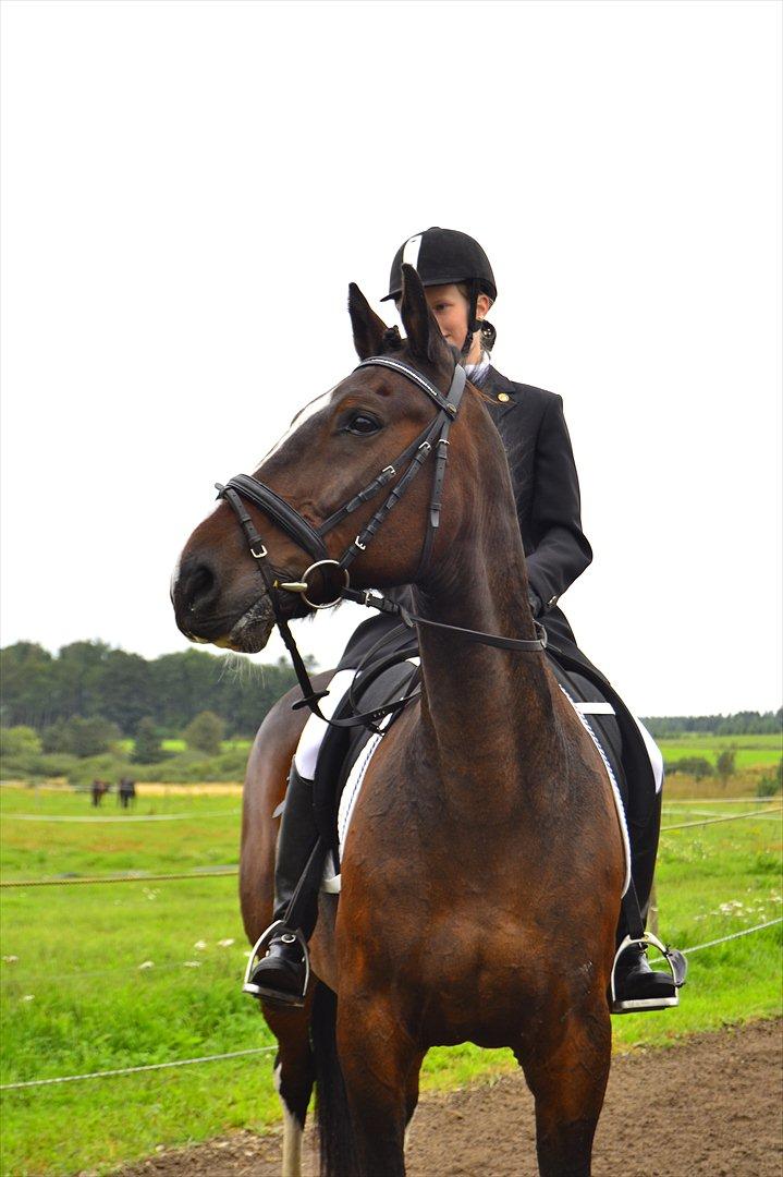 Traver Grand Cru - Vores første rigtige stævne
LC1 og LC3

foto:Mathilde Danmark billede 17